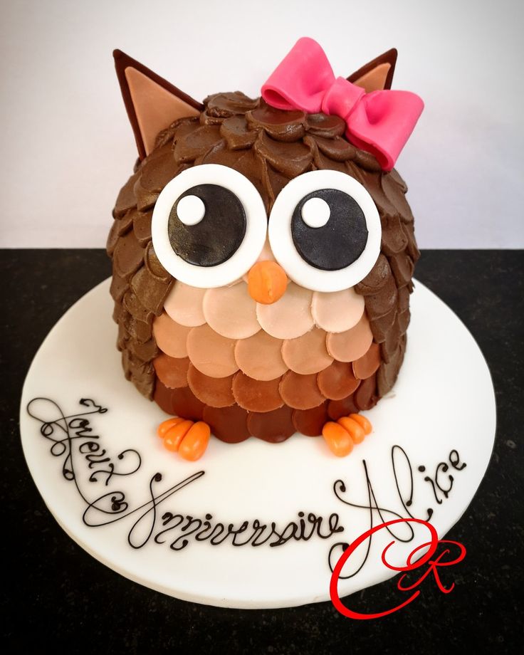 an owl cake with chocolate frosting and pink bow on top, sitting on a white plate