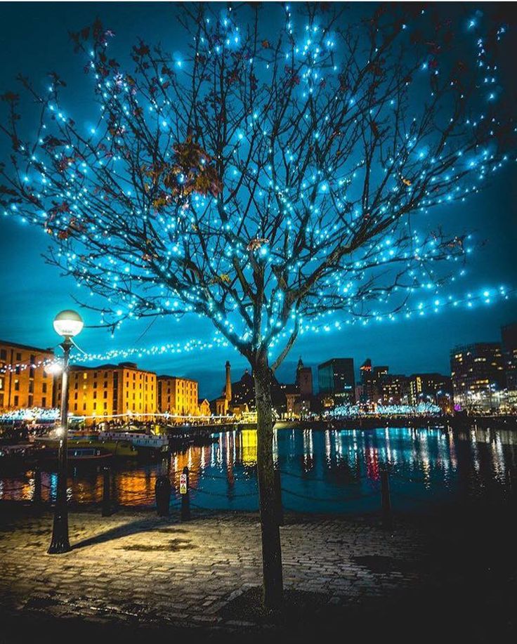 a tree is lit up with blue lights in front of the water and buildings at night