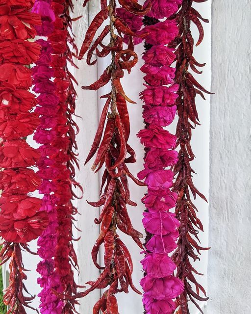 some red and pink flowers hanging from a white wall in front of a window with an instagram message on it