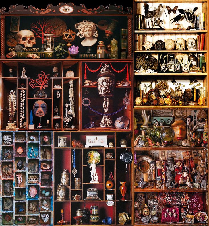 a shelf filled with lots of assorted items and skulls on it's sides