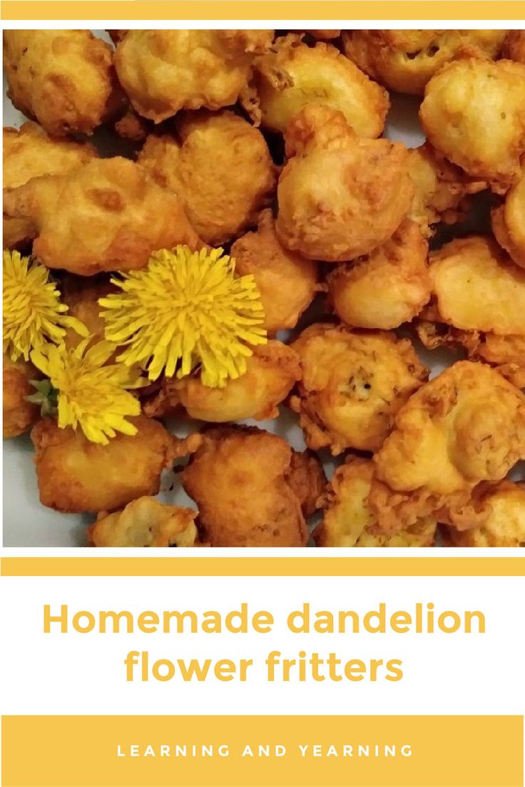 homemade dandelion flower fritters with text overlay that reads, homemade dandelion flower fritters learning and learning