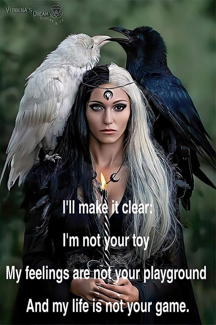 a woman with two black birds on her head and the words i'll make it clear, i'm not your toy