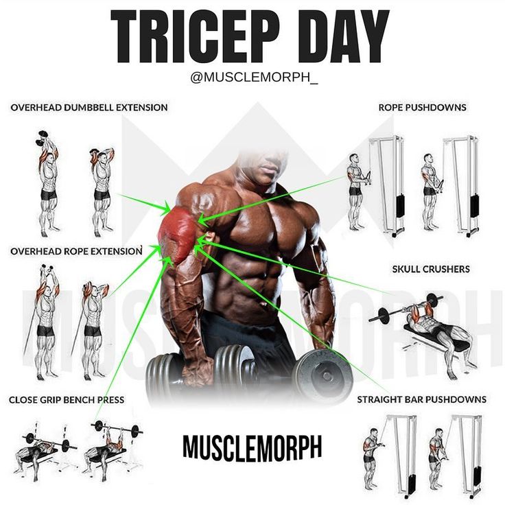 an image of a man doing the tricep day workout with muscles and exercises