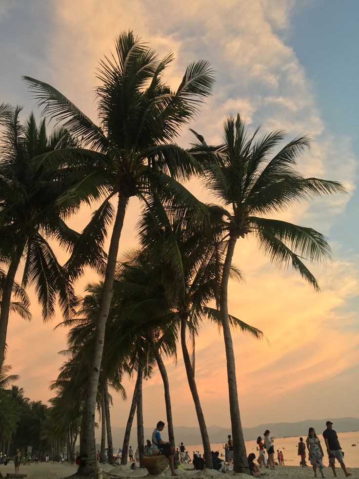 palm trees and people on the beach at sunset