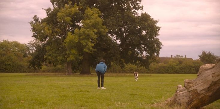 a man and his dog are playing frisbee in the grass near a tree