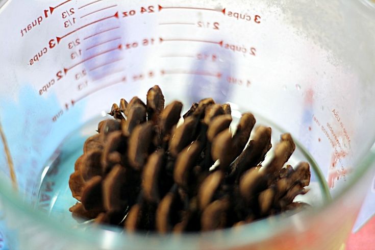 a measuring cup filled with pine cones on top of a table