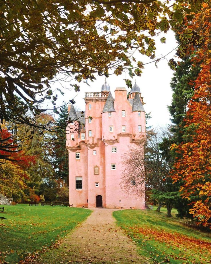 a pink castle sitting on top of a lush green field next to trees and leaves