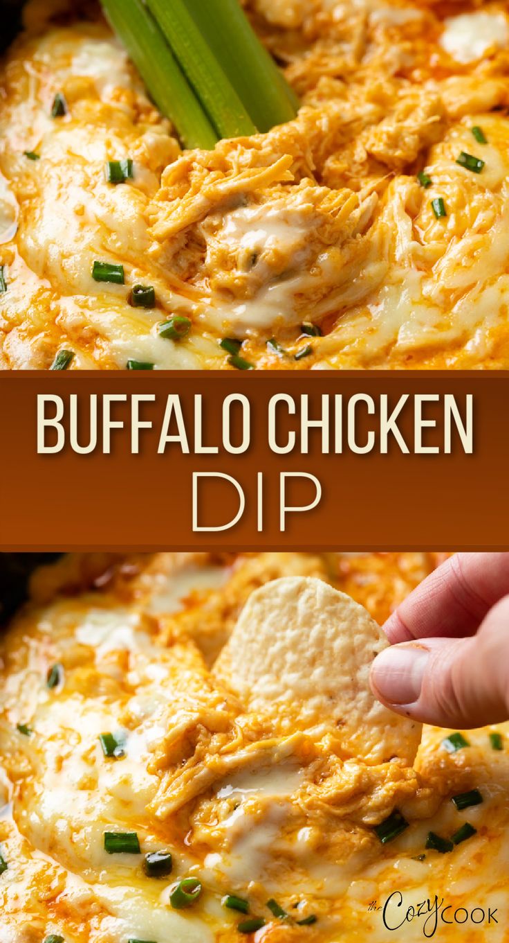 Buffalo Chicken dip with a tortilla chip being dipped into it. Multigrain Crackers, Spicy Buffalo Chicken Dip, Chicken Appetizer Recipes, Buffalo Chicken Dip Easy, Spicy Buffalo Chicken, Chicken Dip Recipe, Buffalo Chicken Dip Recipe, Chicken Appetizers, Chicken Dip