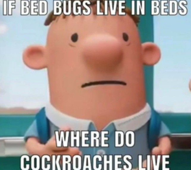 an image of a cartoon character with caption saying if bed bugs live in beds where do cockroaches live?