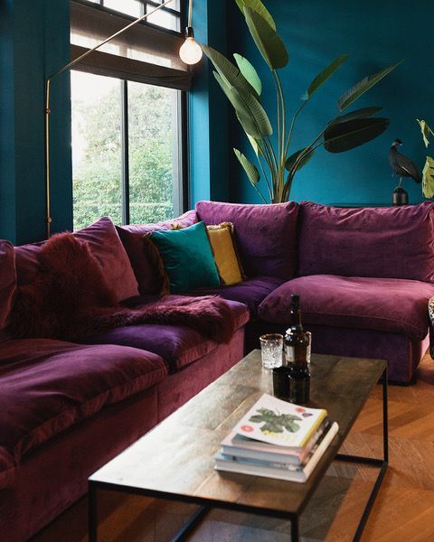 a living room filled with purple couches next to a large green plant on top of a wooden floor