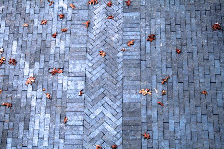 an aerial view of a brick sidewalk with leaves on it and one person walking in the distance