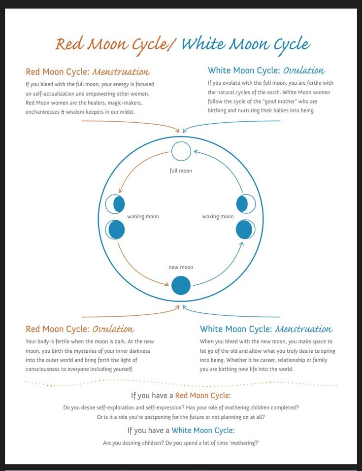 RED MOON VS WHITE MOON CYCLES – Birthing Divinity Holistic Consulting Red Moon Cycle, Woman Health, Womb Healing, Moon Time, New Moon Rituals, Moon Cycle, Full Moon Ritual, Menstrual Health, Self Actualization