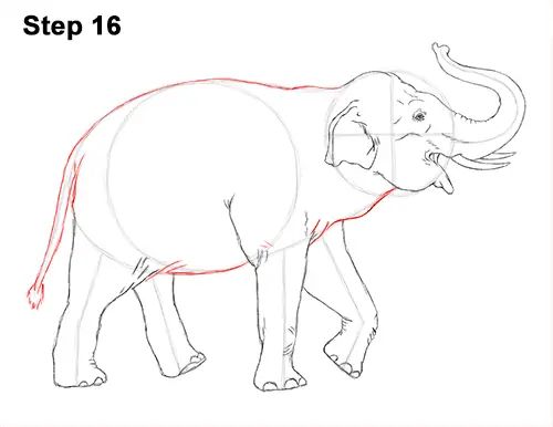 how to draw an elephant step by step