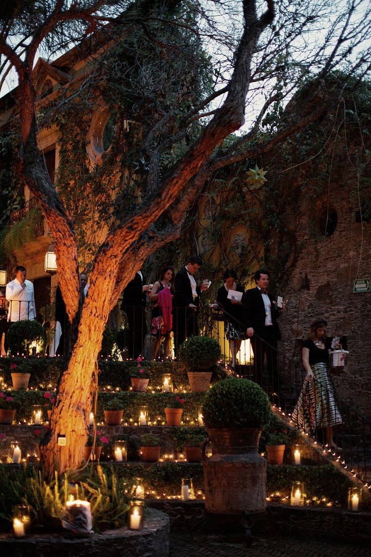 a group of people standing in front of a tree