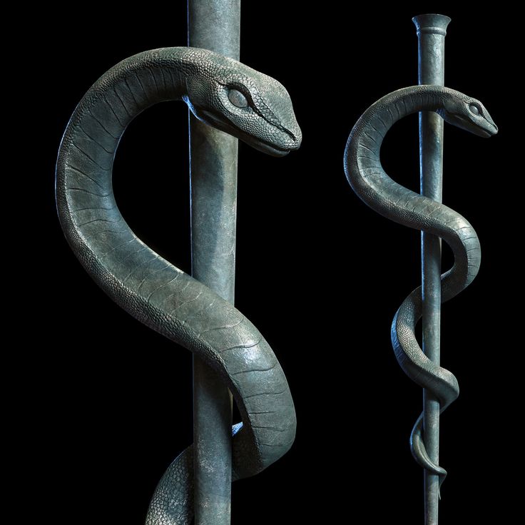 a snake wrapped around a metal pole with a hook on it's end and another snake in the background