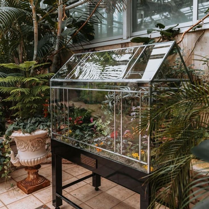 a glass house with plants in it and a potted plant on the ground next to it