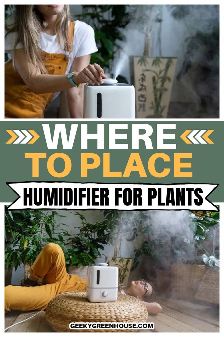 there is a woman sitting on the floor with a humider in front of her and text overlay that says where to place humidifier for plants