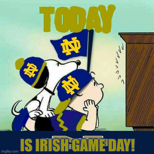 a cartoon dog holding a flag with the words today is irish - game day