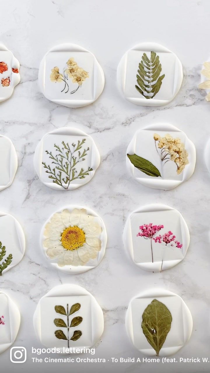 nine plates with pressed flowers and leaves on them