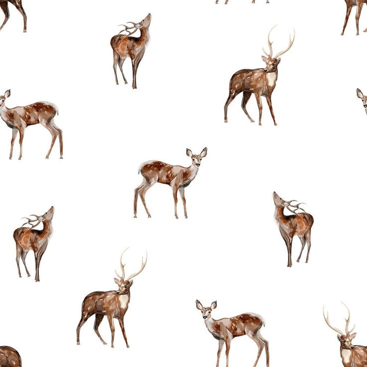 Evergreen Forest Deer Fabric - White - ineedfabric.com Forest Fabric, Deer Fabric, Dickson Tennessee, Forest Deer, Evergreen Forest, Deer Pattern, Fabric For Sewing, Woodland Camo, Digital Print Fabric