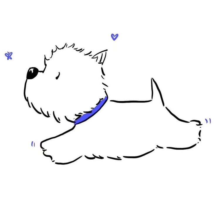 a drawing of a dog with a blue collar laying on it's back and eyes closed