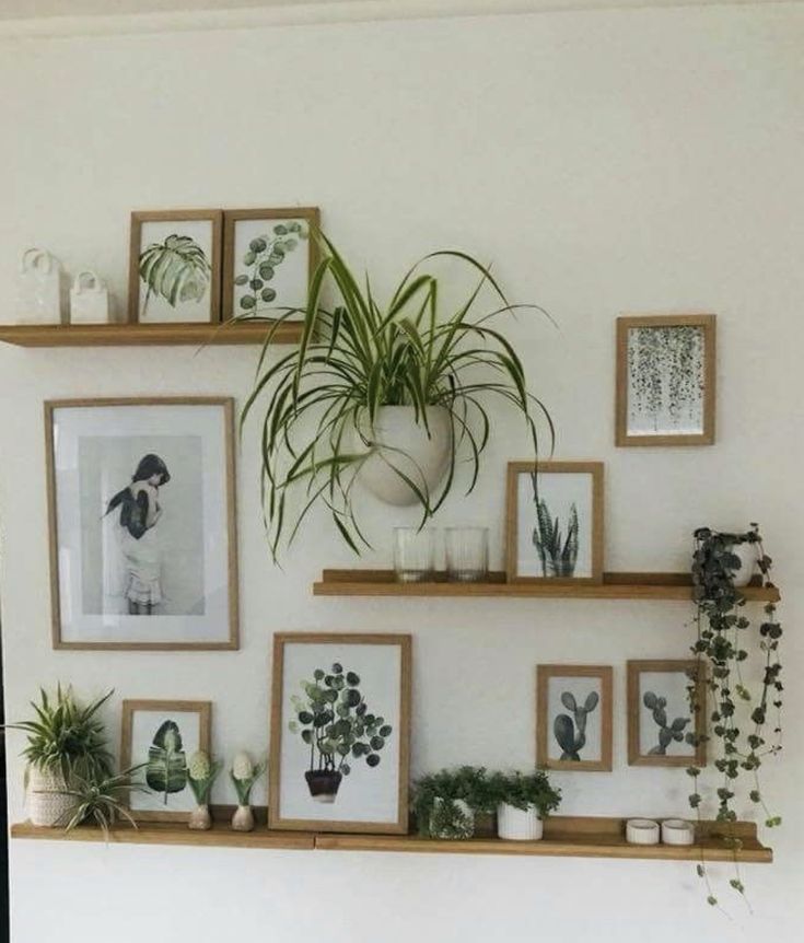 some plants and pictures are hanging on the wall