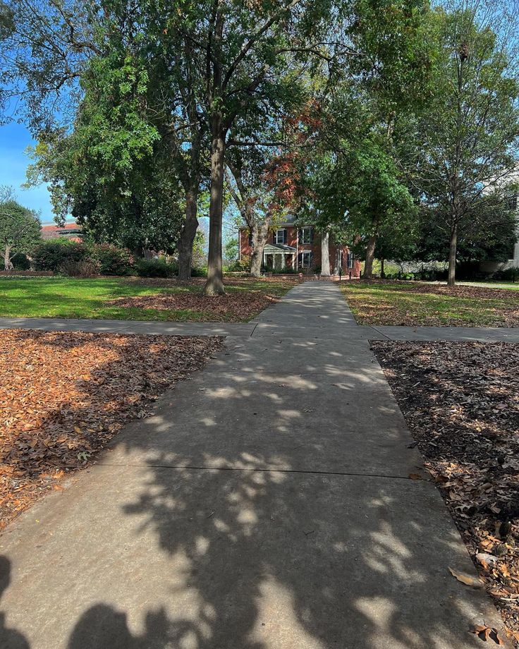 a sidewalk in front of some trees on a sunny day