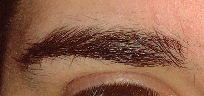 Reference photo for bushy eyebrows Bushy Eyebrows Men, Overgrown Eyebrows, Thick Eyebrows Aesthetic, Bushy Eyebrows Natural, Brow Guide, Unruly Eyebrows, Curly Eyebrows, Make Eyebrows, Eyebrow Guide