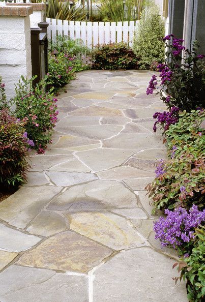 a stone walkway with purple flowers and greenery