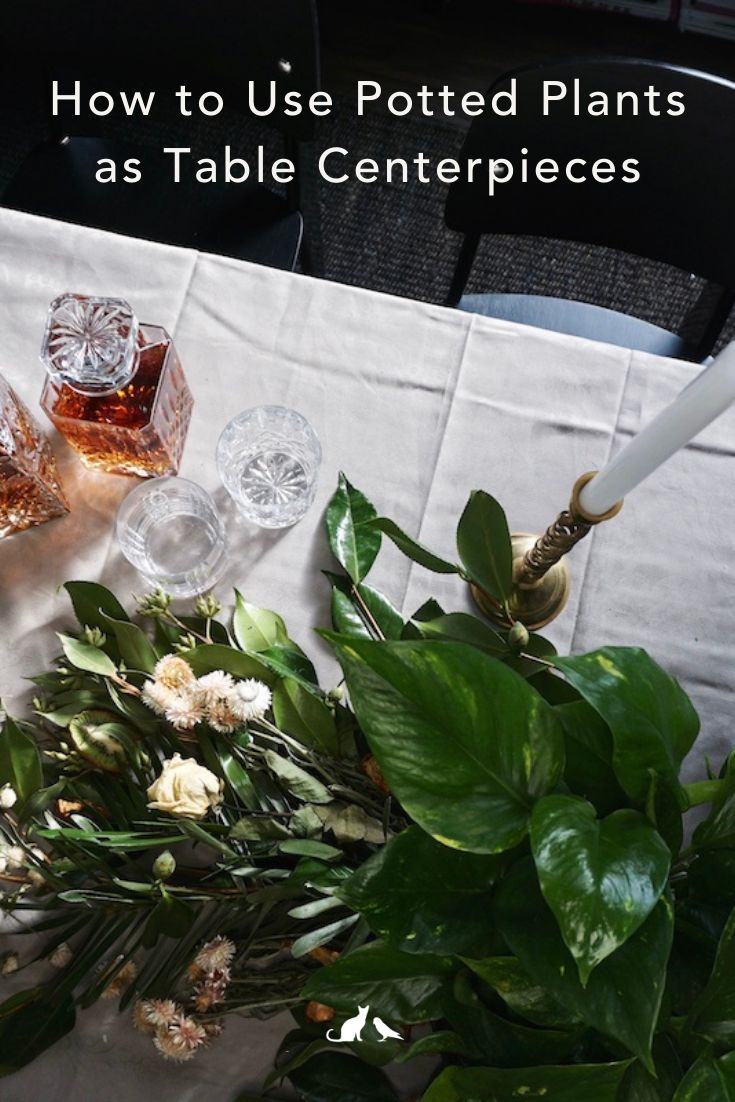 flowers and glasses on a table with text overlay that reads how to use potted plants as table centerpieces