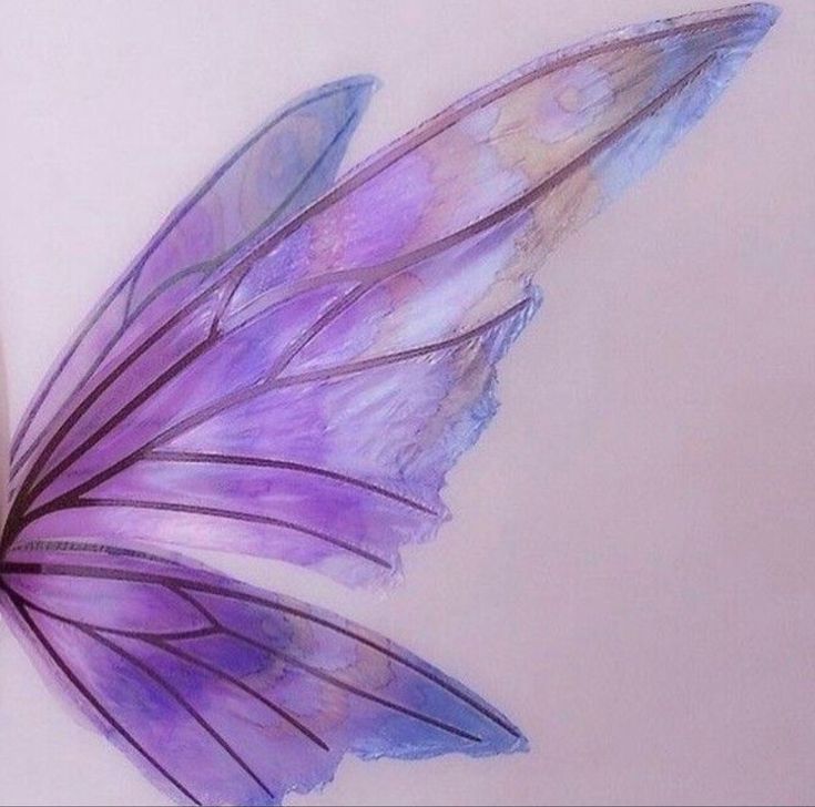 a drawing of a purple butterfly with long wings