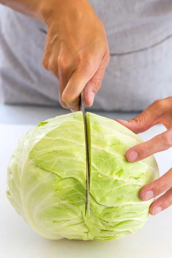 a person cutting up a head of cabbage with a knife