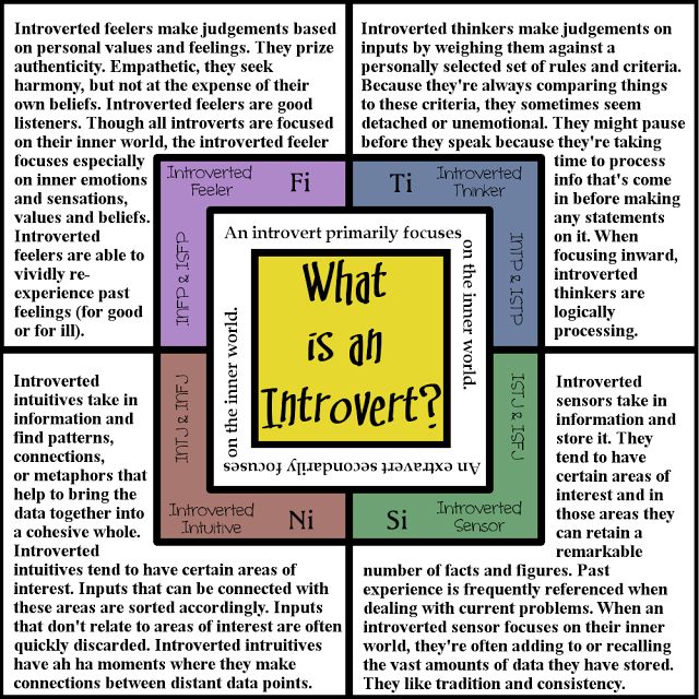 Want to know how to care for your introvert? First figure out what kind of introvert you're dealing with. What Is An Introvert, Mbti Functions, Introverted Sensing, Introverted Thinking, Intp Personality Type, Intp Personality, Personality Psychology, Introvert Problems, Introverts Unite