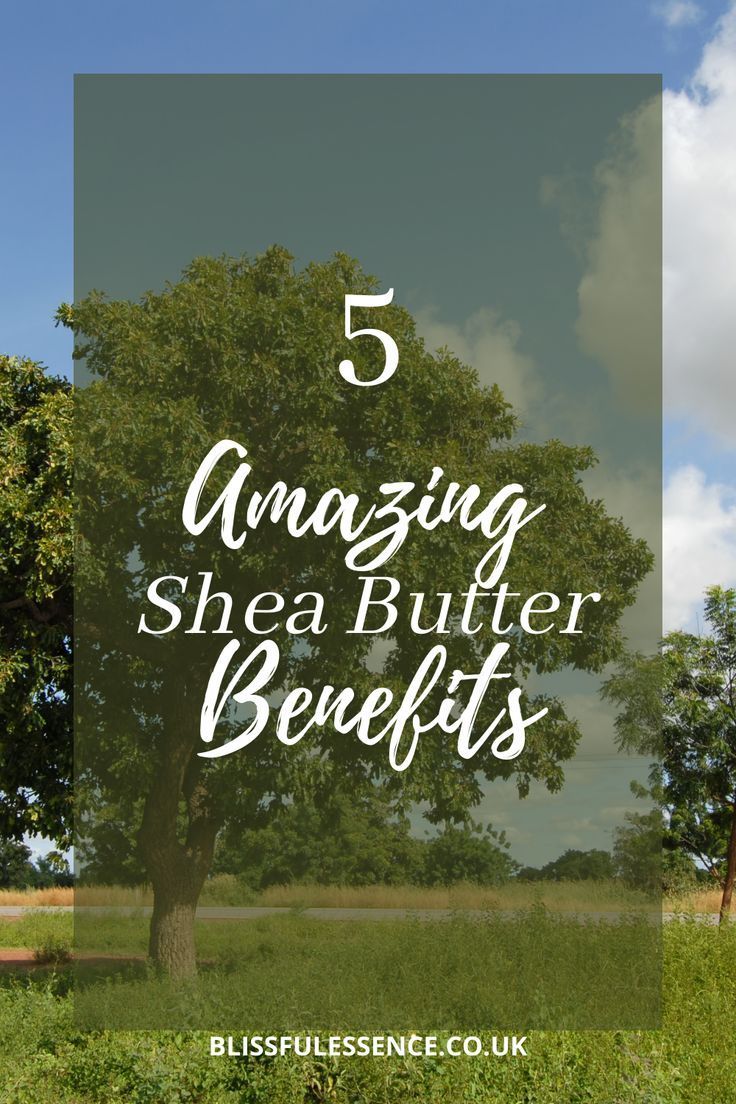 Shea butter has a plethora of benefits, here's a quick breakdown of 5 - great moisturiser, anti-inflammation and more. I love what shea butter has done for me and the true benefits are endless… More Raw Shea Butter Benefits, Shea Butter Hair Moisturizer, Shea Butter Lotion Recipe, Benefits Of Shea Butter, Shea Butter Face, Shea Butter Recipes, Shea Butter Benefits, Skincare Goals, Shea Butter Hair