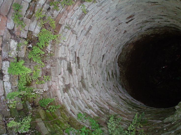 the inside of a brick tunnel with green plants growing out of it's sides