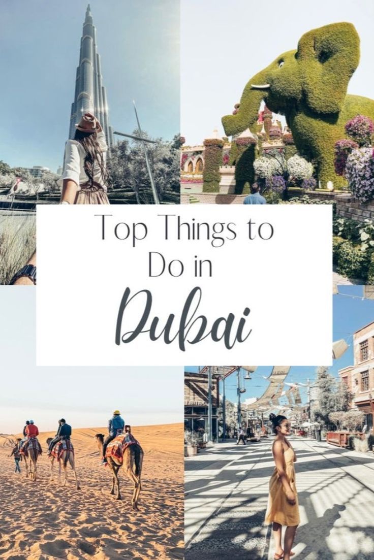 the top things to do in dubai, including camels and people riding on horseback