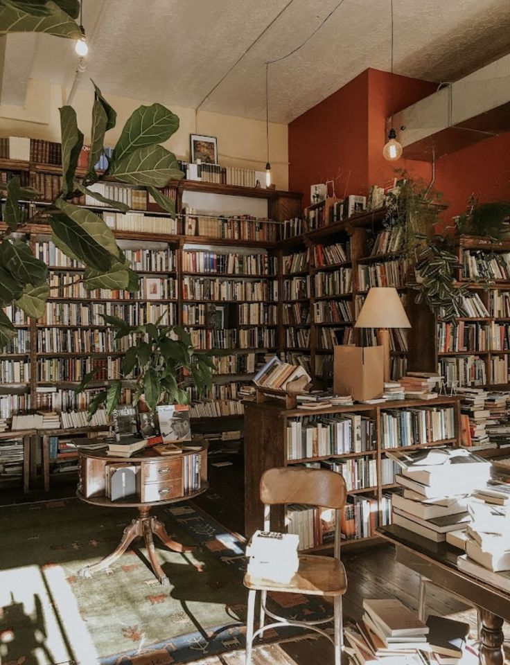 a room filled with lots of books and furniture