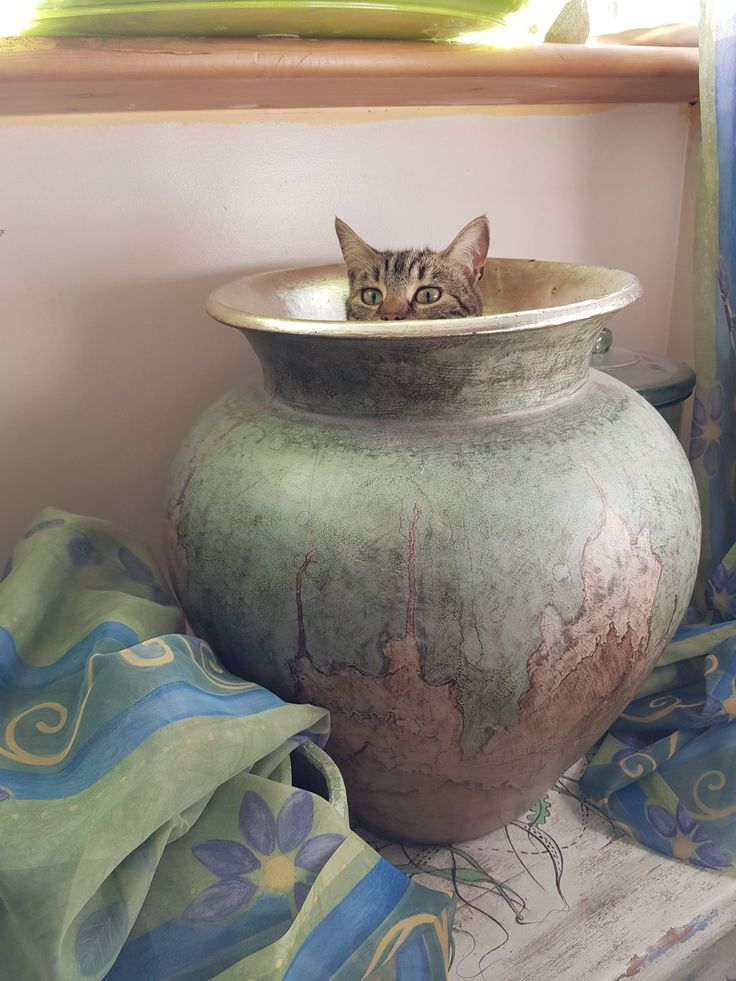 a cat peeking out from behind a large vase