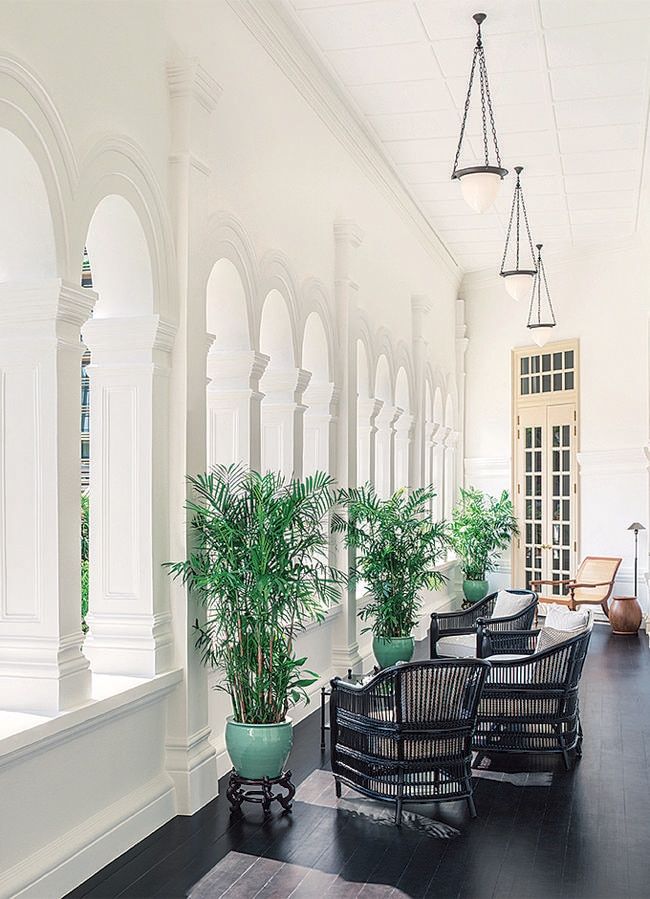 a room filled with lots of furniture and potted plants on top of it's windows