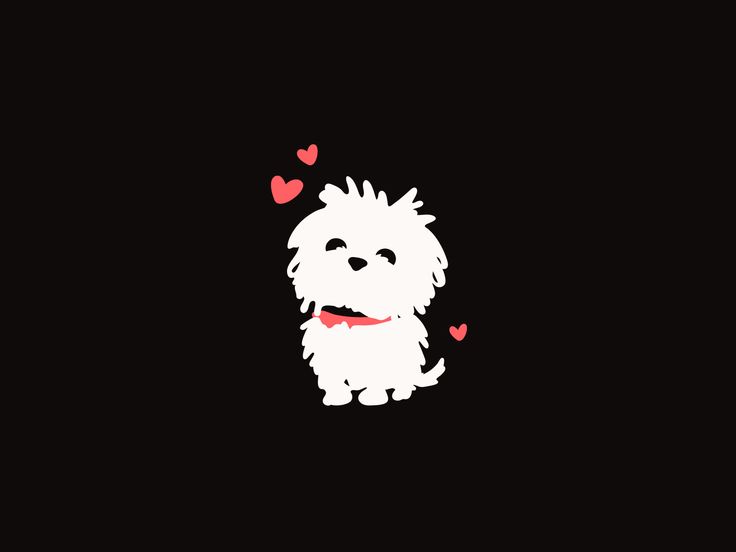 a small white dog with hearts flying around it's neck on a black background