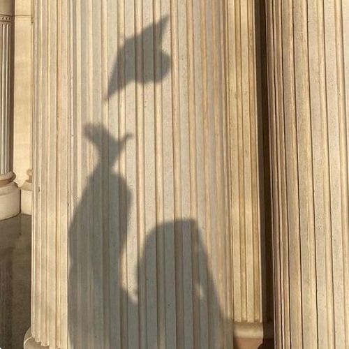 the shadow of a person holding an umbrella is cast on columns in front of a building