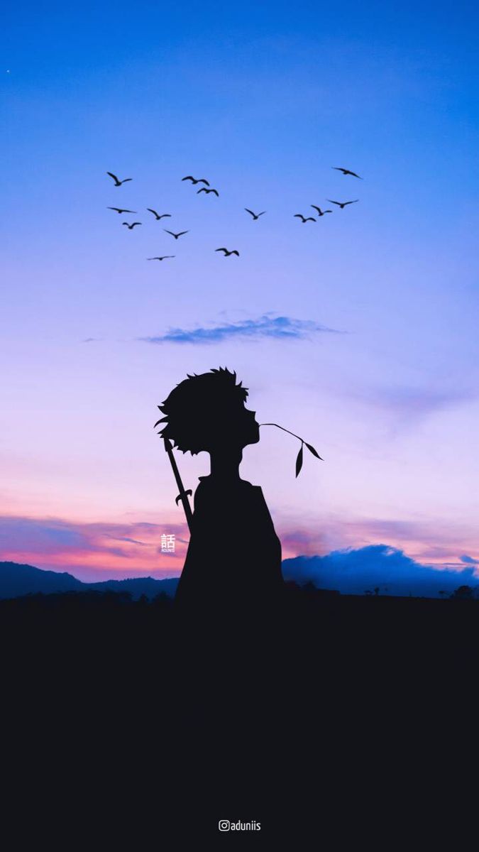 the silhouette of a person holding a stick with birds flying in the sky behind them