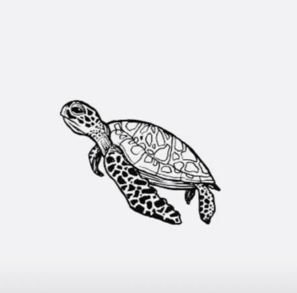 a black and white drawing of a turtle