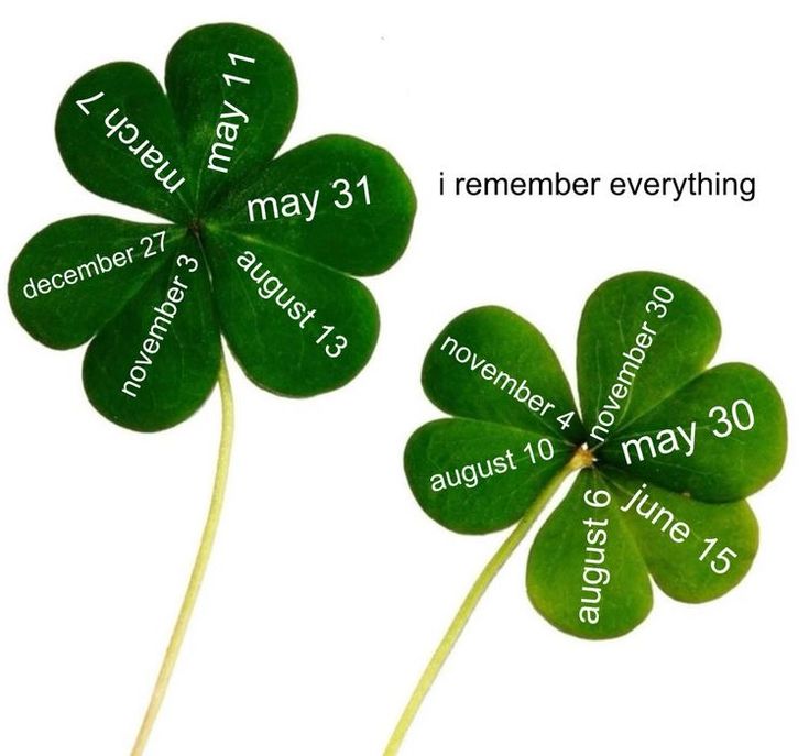 three leaf clovers with the names of each month written on them in different languages