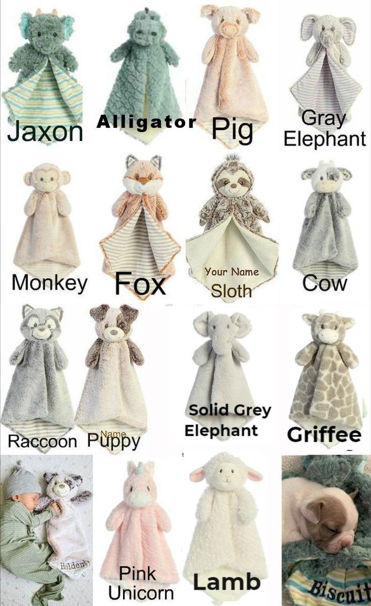 many different types of stuffed animals are shown in this chart with the names and colors