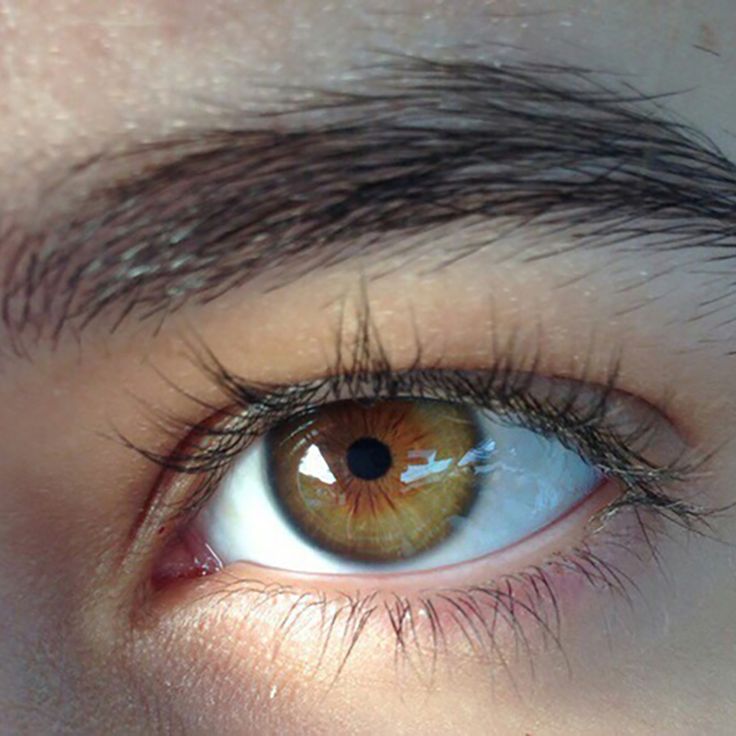 the eye of a person with brown eyes