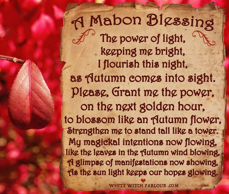 an old paper with a poem written on it in front of red leaves and flowers