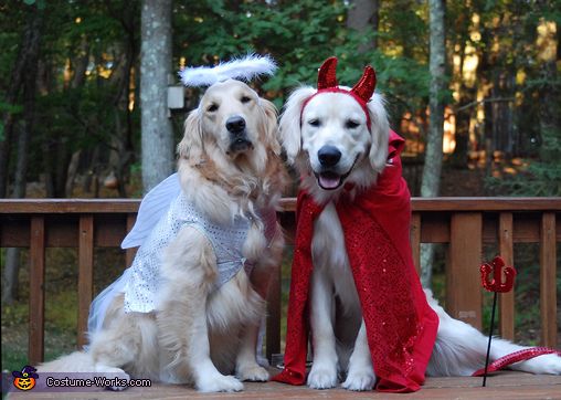 two dogs dressed up in costumes sitting on a wooden bench outside with trees in the background