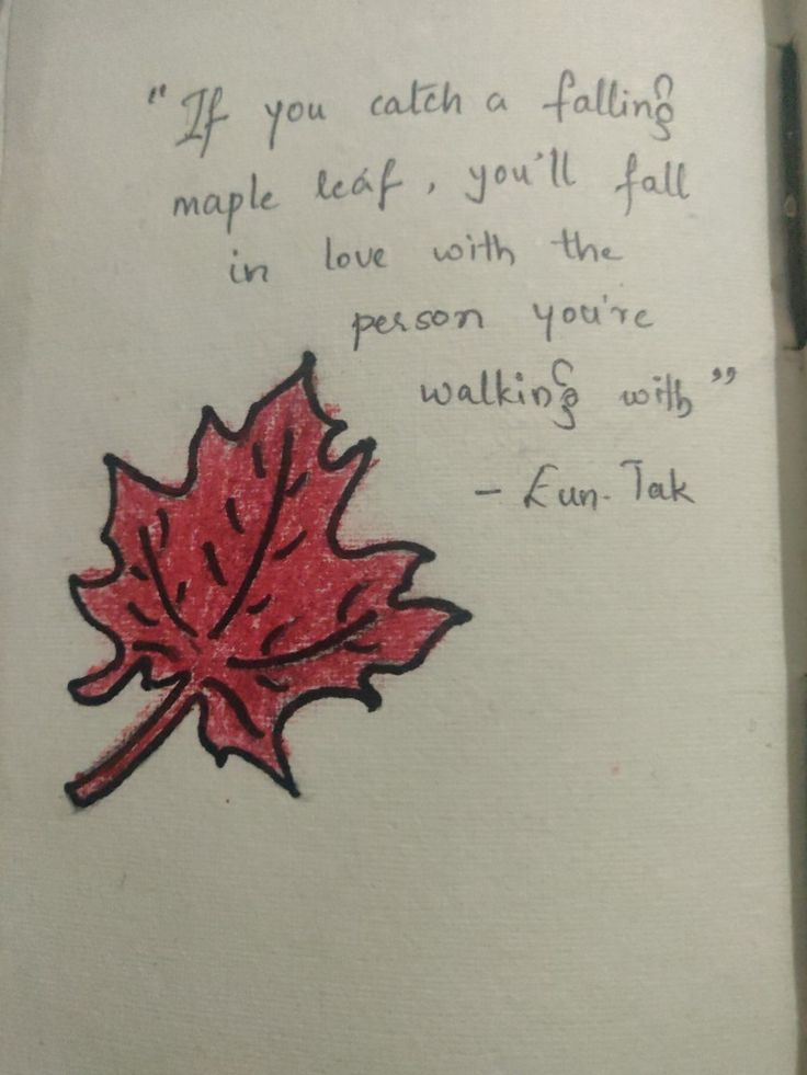 a drawing of a red leaf on top of a white piece of paper with a poem written in it