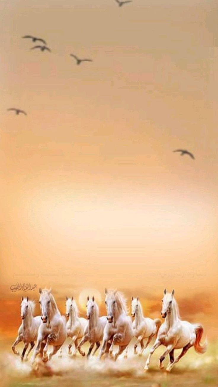 a group of white horses running across a field